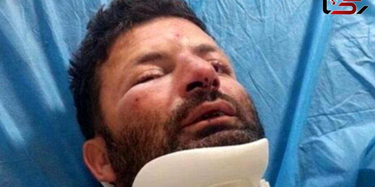 حمله وحشیانه 3 متخلف به محیطبان در شمال تهران