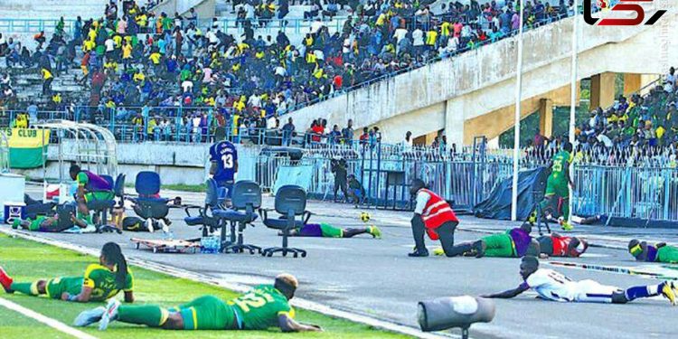 فوتبالیست‌ها به زمین افتادند / هجوم زنبورها مسابقه را متوقف کرد+ فیلم