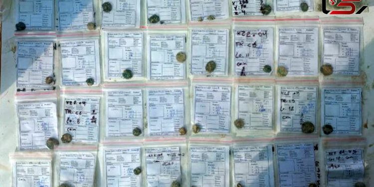 کشف گنج نفیس و عتیقه در محله کمر زرین اصفهان