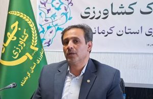 پیشبینی برداشت ۶ هزار تن زیتون از باغات کرمانشاه