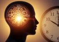 پاسخ علمی به بحثی دیرینه: بدن ما احتمالاً با ساعت استاندارد دائمی سازگارتر است