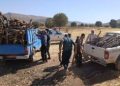 کشف بیش از ۲۰ تن چوب جنگلی در کرمانشاه