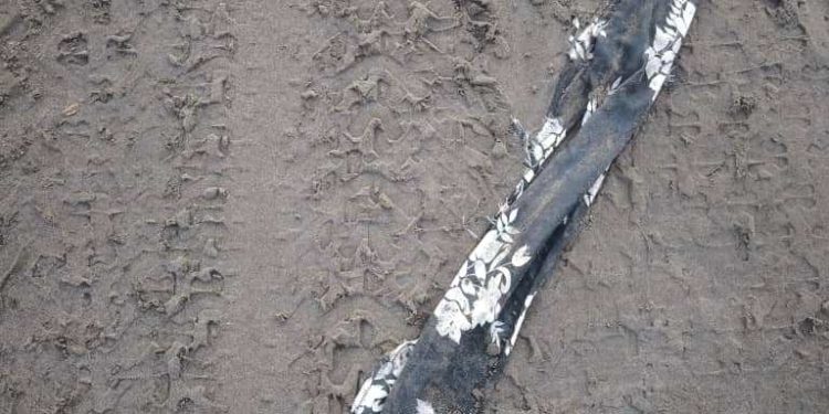 « زندگی باید ساده باشد! … »