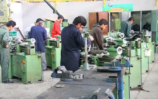 مرادنژادی:دانشگاه علمیکاربردی برای تربیت نیروی متخصص تلاش کند