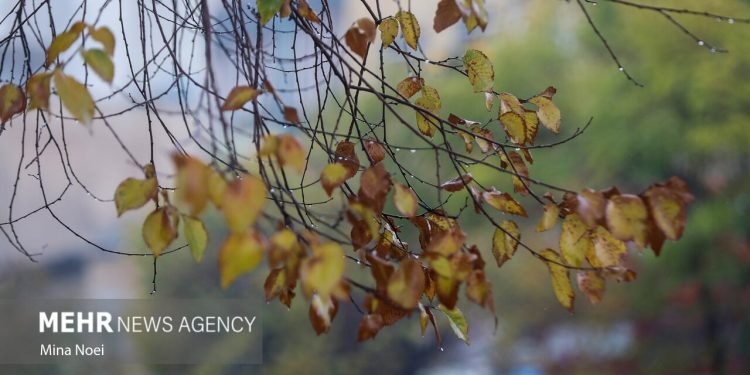 هواشناسی ایران امروز ۱۱ مهر؛ صدور هشدار سرمازدگی