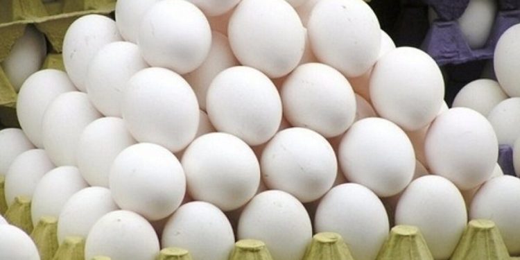 کشف ۴ تن تخم مرغ خارج از شبکه توزیع در میامی؛ یک نفر دستگیر شد