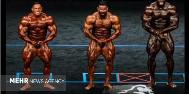 «گرگی» که محبوب مردم جهان شد/ نمایش «اخلاق ایرانی» روی سکوی قهرمانی