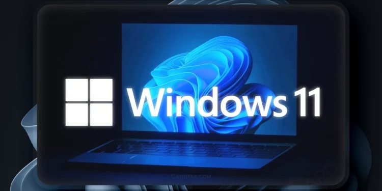 لایسنس اورجینال Windows 11؛ سرمایهگذاری مطمئن برای کاربران حرفهای