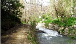 مقصد پرطرفدار تهرانی ها برای تفریح آخر هفته کجاست؟