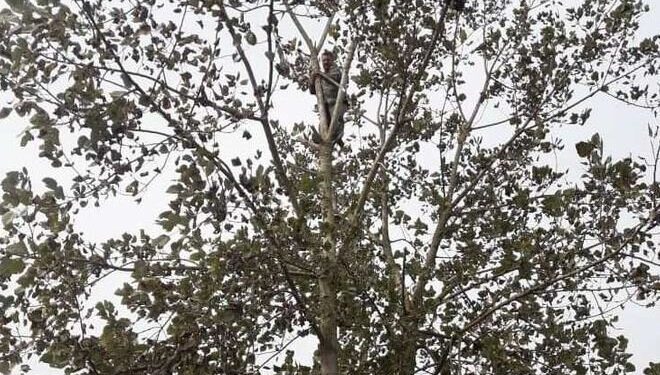 محیط بانان طبیعت گیلان کم شمار اما پرتعهد