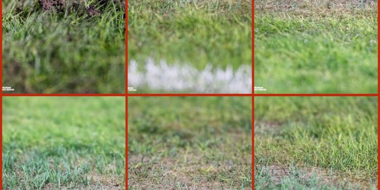 چمن ۶۷ میلیاردی یادگار | مخاطب۲۴