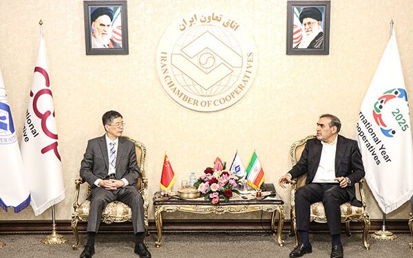 ایران و چین بر تشکیل کمیته مشترک تعاونی تاکید کردند