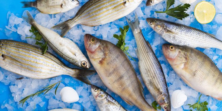 تاثیر مصرف ماهی و جایگزینهای گیاهی بر سلامت عصبی سالمندان