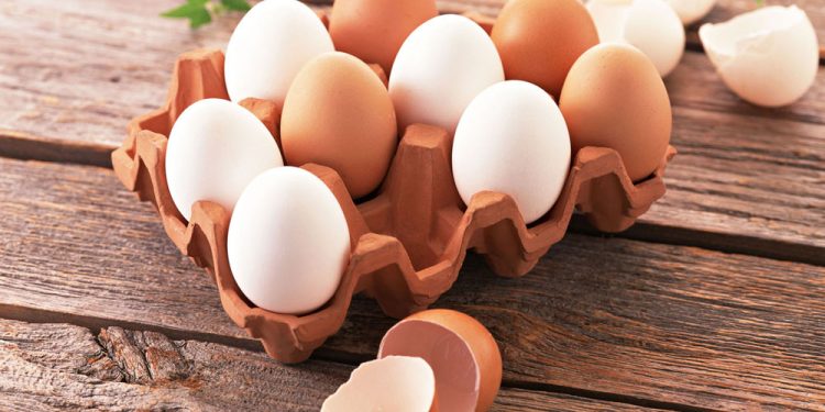 پشت‌پرده تولید تخم‌مرغ: از مزرعه‌داری صنعتی تا ضربه بر سلامت و محیط زیست