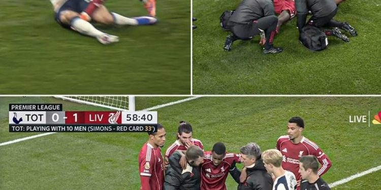 خانه‌نشینی طولانی مدت ایساک – تسنیم