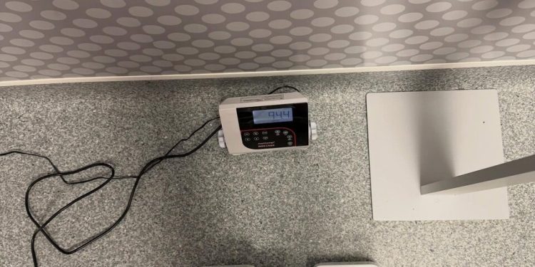 عکس | شوخی هالند با دشوار‌گیری گواردیولا؛ خیالت از من راحت باشد!