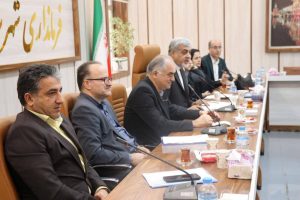 مداخله تسهیلگرانه فرمانداریها موجب تسریع روند سرمایهگذاری در شهرستانها میشود