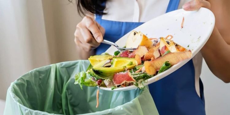 دورریز غذا در ایران؛ راهکار وزارت بهداشت برای کاهش ضایعات غذایی