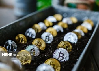 کمر بازار کریپتو شکست؛ ریزش سنگین  بیتکوین در یک روز خونین